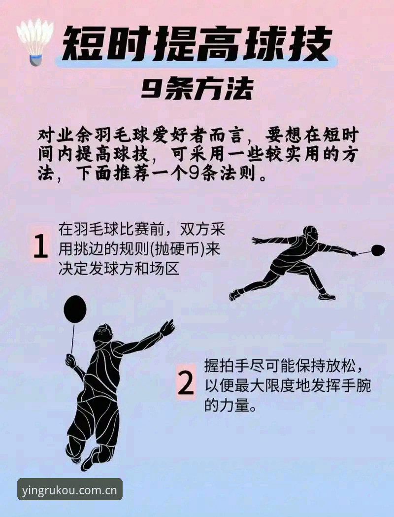 亚盈体育官方操作指南最新发布：从入门到精通的全流程解析